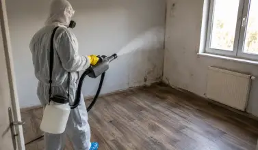 Wann eine professionelle Raumdesinfektion sinnvoll ist